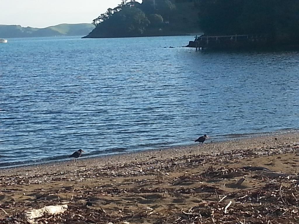 Готель Oamaru Bay Tourist Park Coromandel Екстер'єр фото